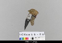 藏品(中國北京皮影)的圖片